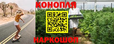 прущий лед Будённовск